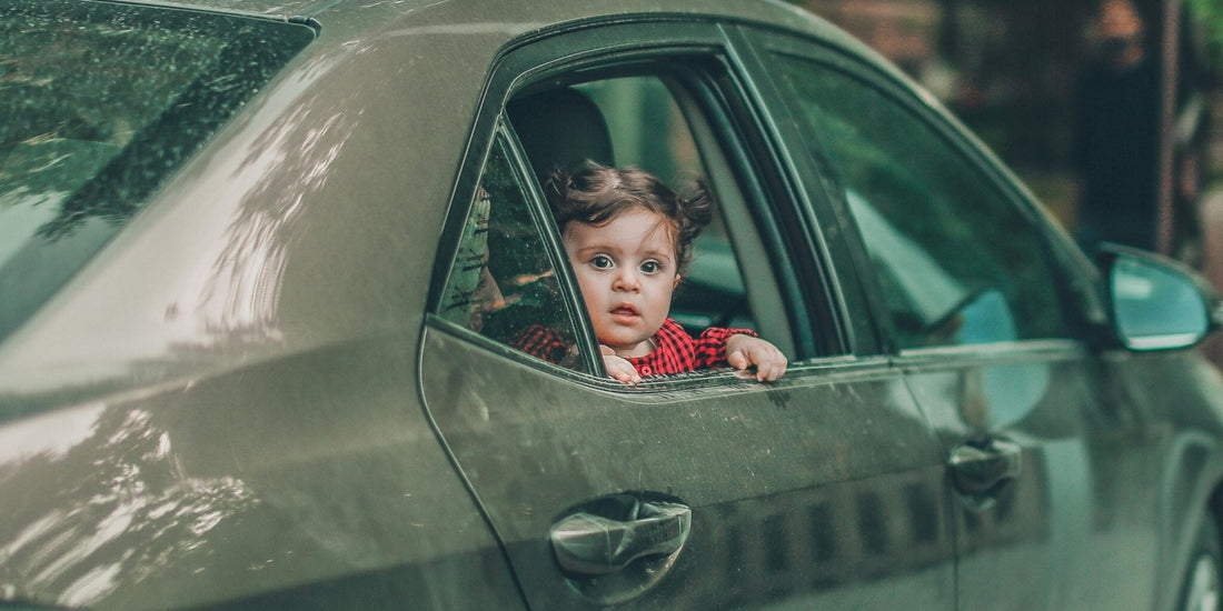 The Dangers of Hot Cars