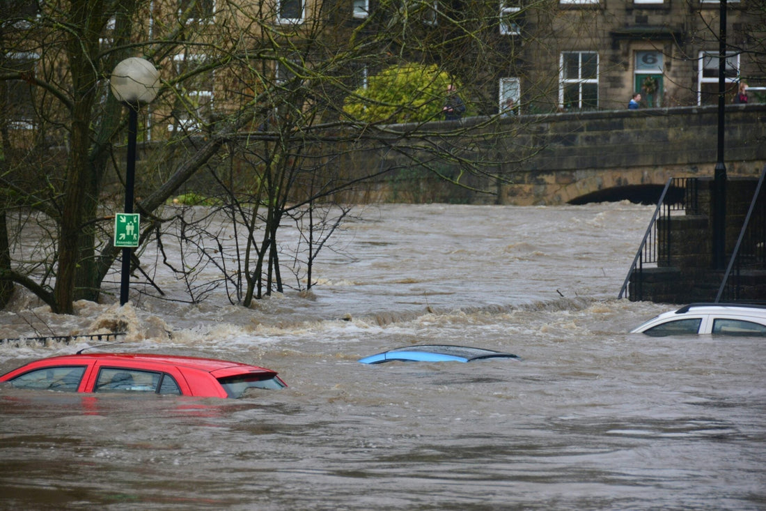 How To Escape a Sinking Car with the Lifesaving Steps SWOC
