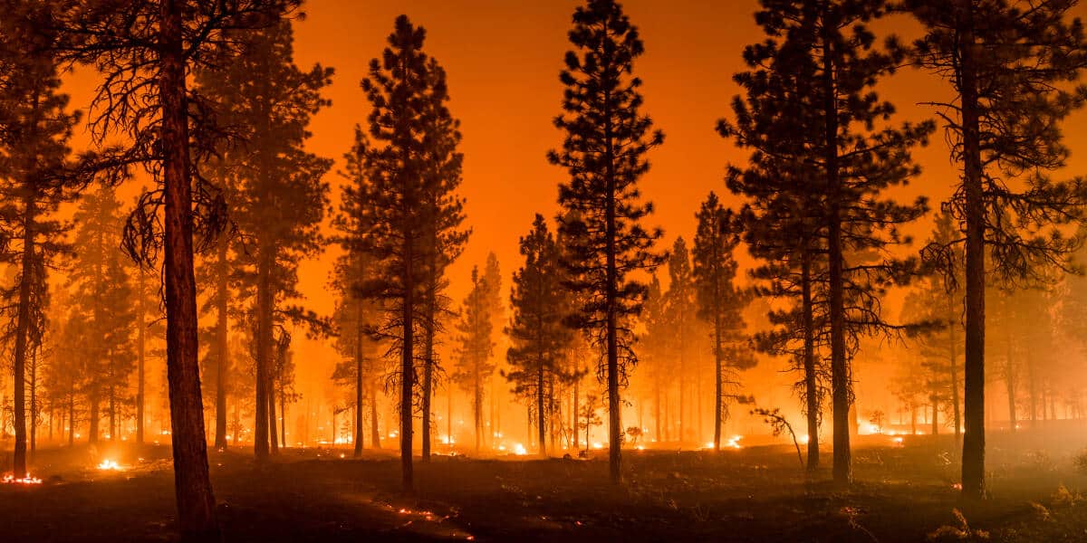 Fire Evacuation Guide