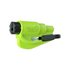 Glow in the Dark