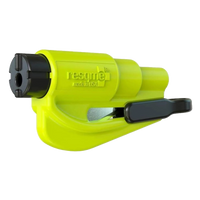 Safety Yellow